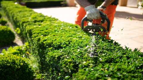 Madiphozi landscape maintenance Madiphozi landscape maintenance